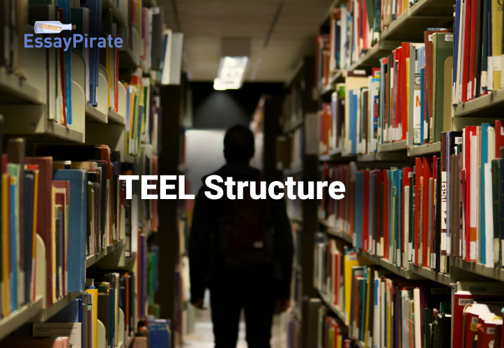 What is TEEL Structure?